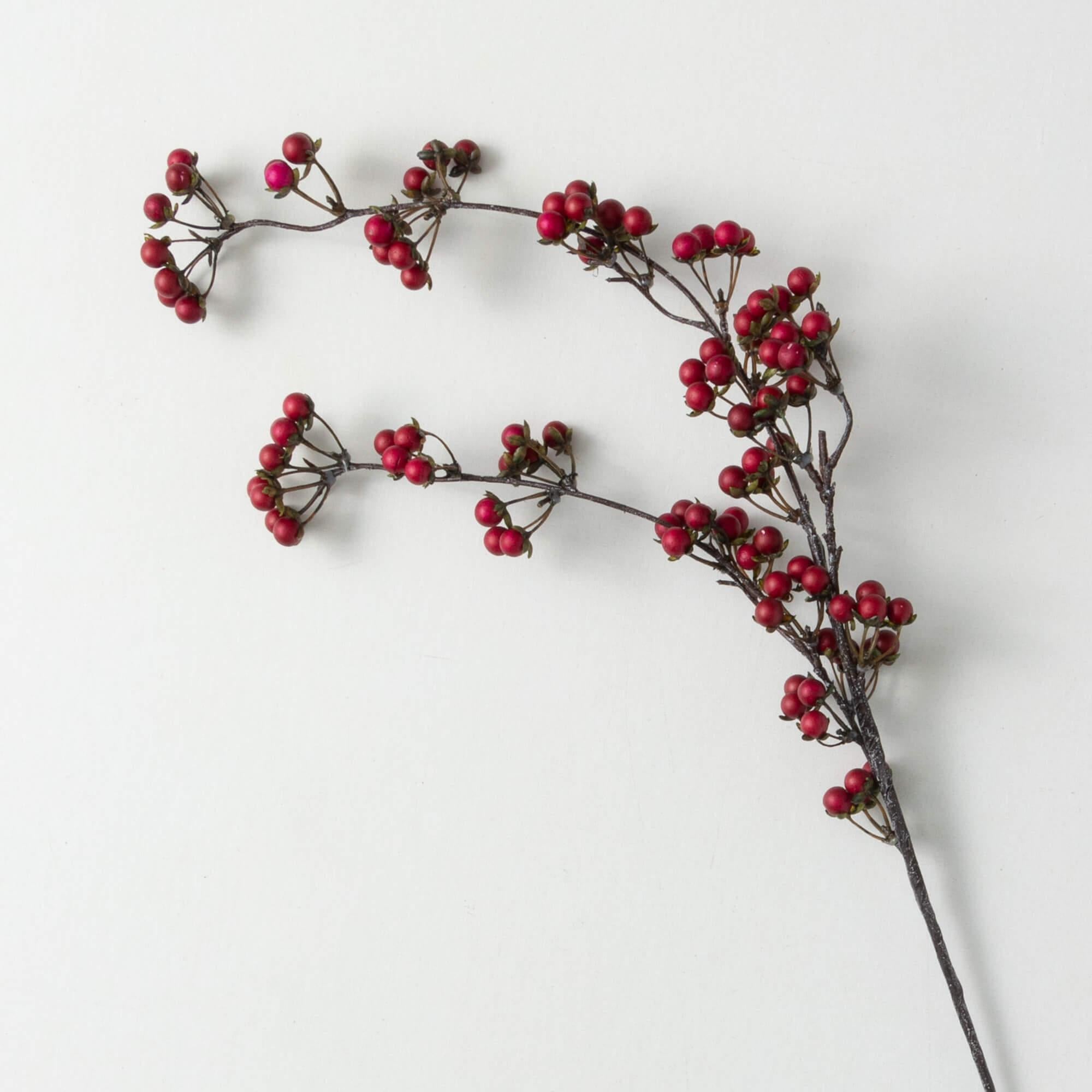 Dark Red Berry Spray